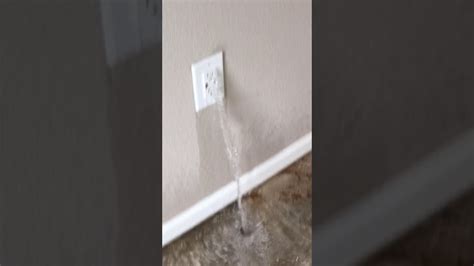 electrical box leaking water|water in electrical box problems.